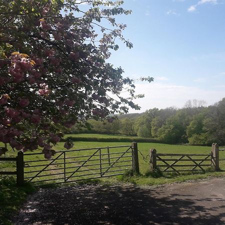 Moaps Farm B&B Support Small Business, Welcome, Check In From 5 Pm Danehill Eksteriør bilde