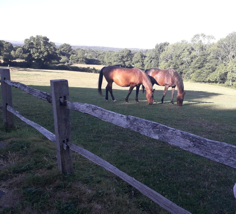 Moaps Farm B&B Support Small Business, Welcome, Check In From 5 Pm Danehill Eksteriør bilde