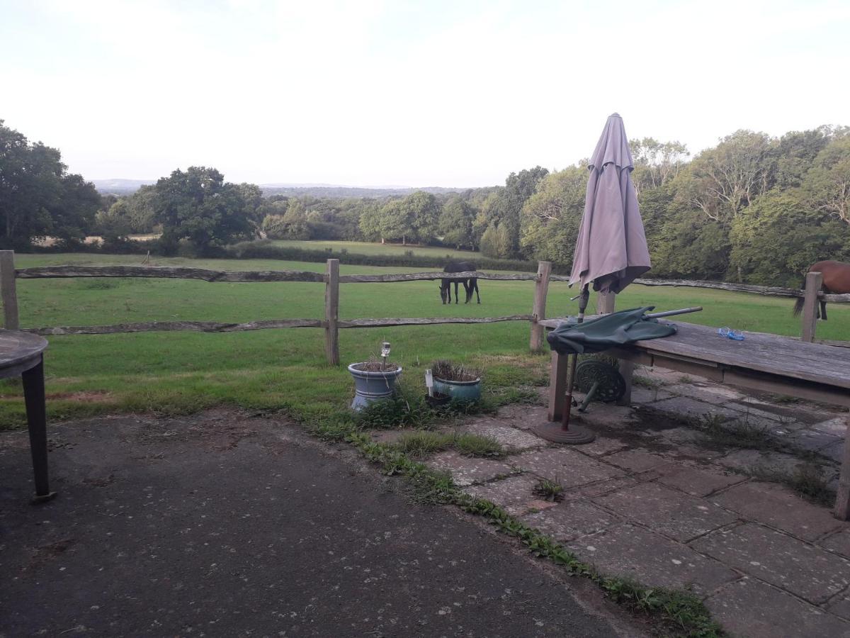 Moaps Farm B&B Support Small Business, Welcome, Check In From 5 Pm Danehill Eksteriør bilde