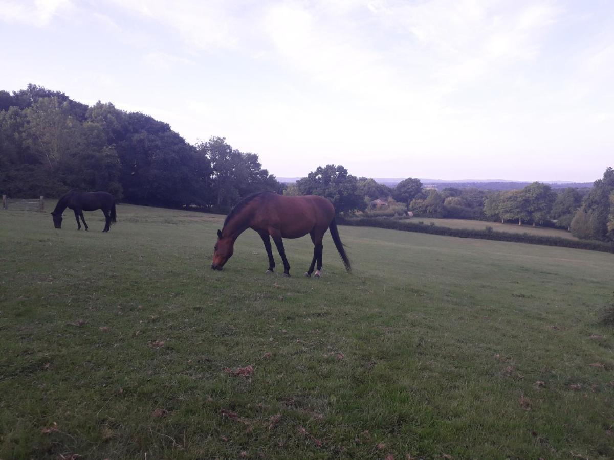 Moaps Farm B&B Support Small Business, Welcome, Check In From 5 Pm Danehill Eksteriør bilde