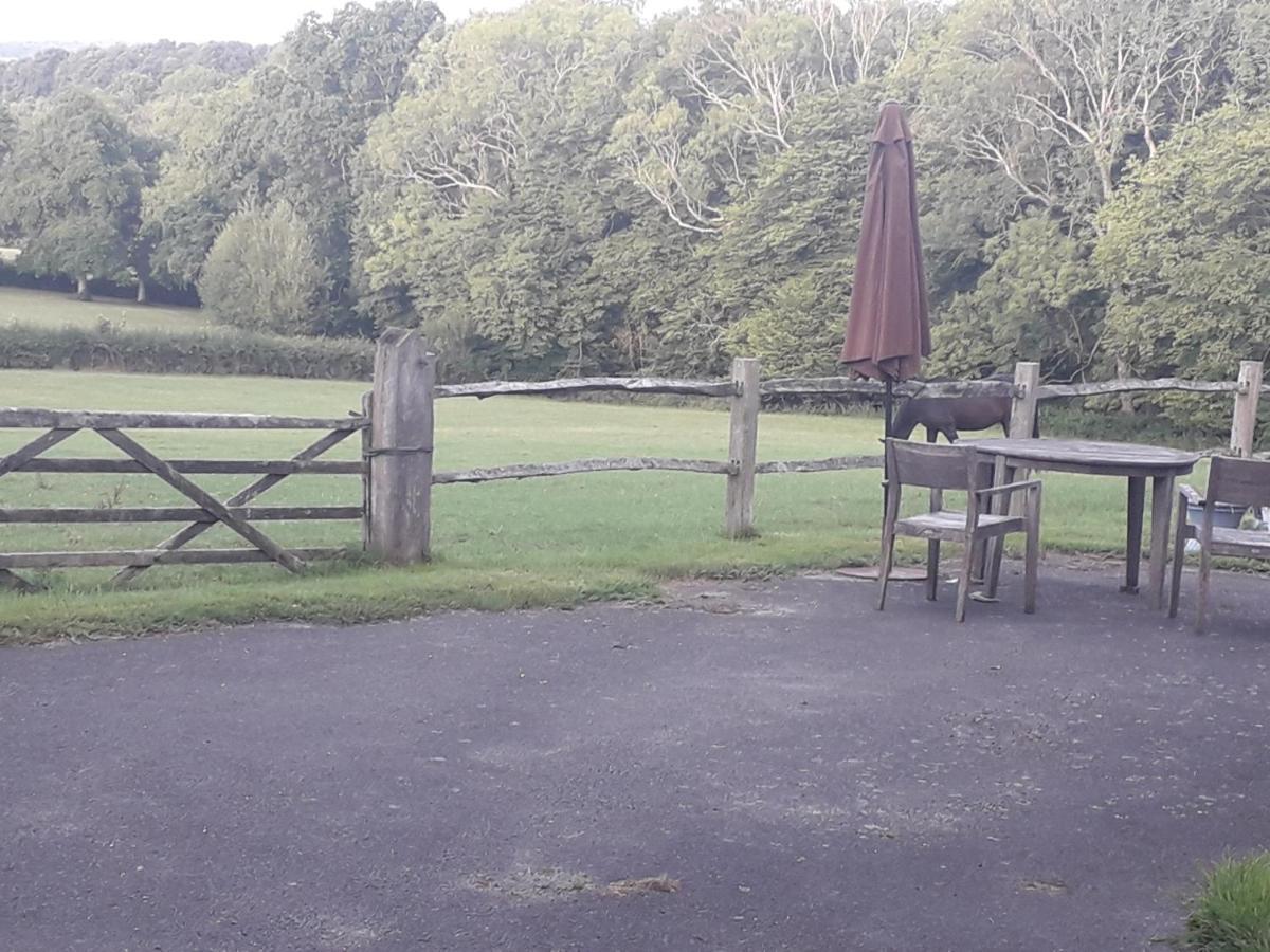 Moaps Farm B&B Support Small Business, Welcome, Check In From 5 Pm Danehill Eksteriør bilde