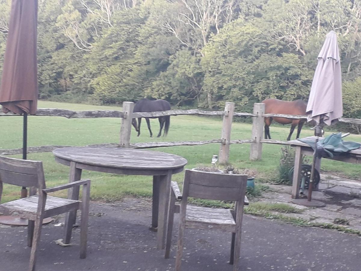 Moaps Farm B&B Support Small Business, Welcome, Check In From 5 Pm Danehill Eksteriør bilde