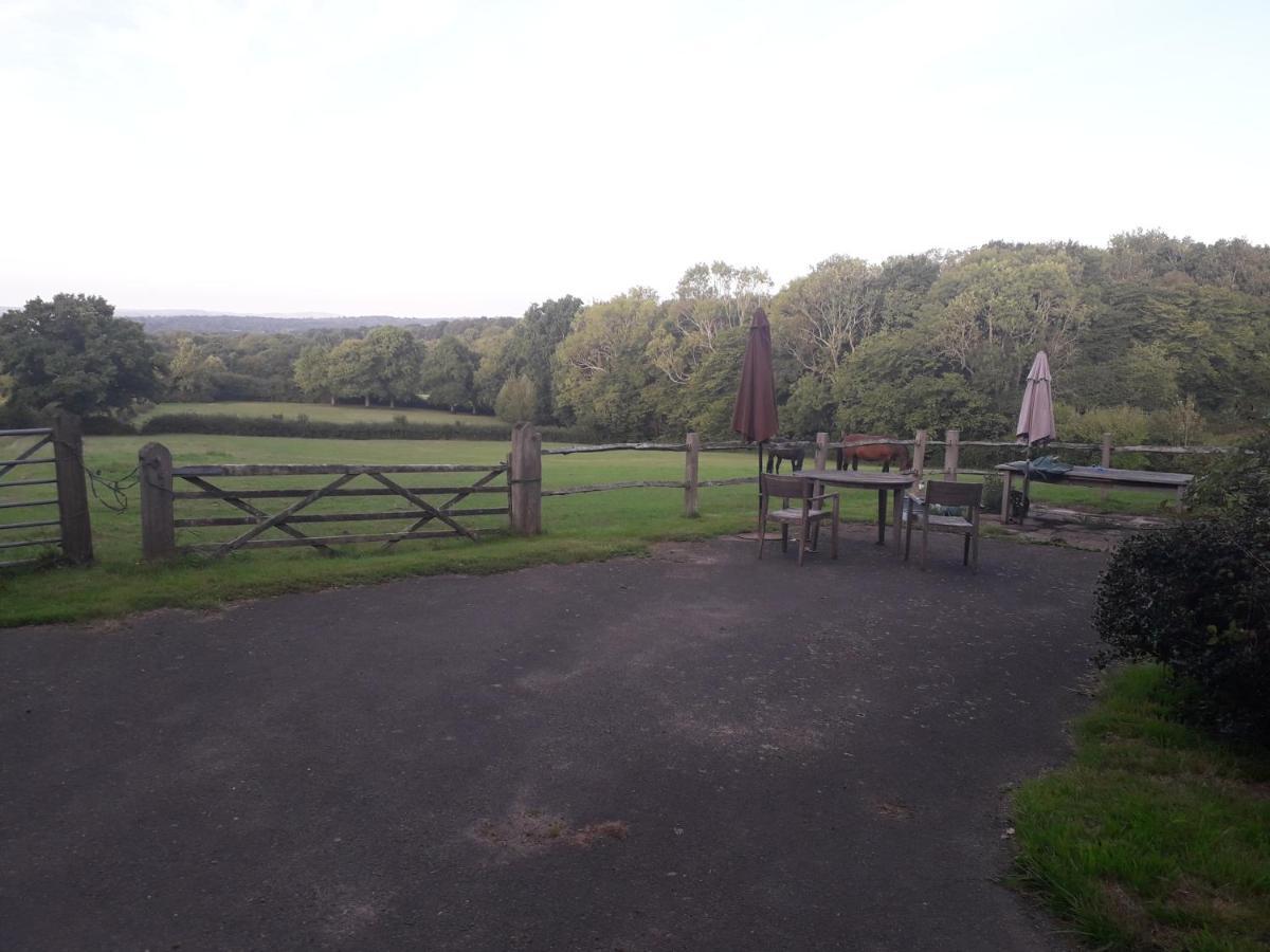 Moaps Farm B&B Support Small Business, Welcome, Check In From 5 Pm Danehill Eksteriør bilde