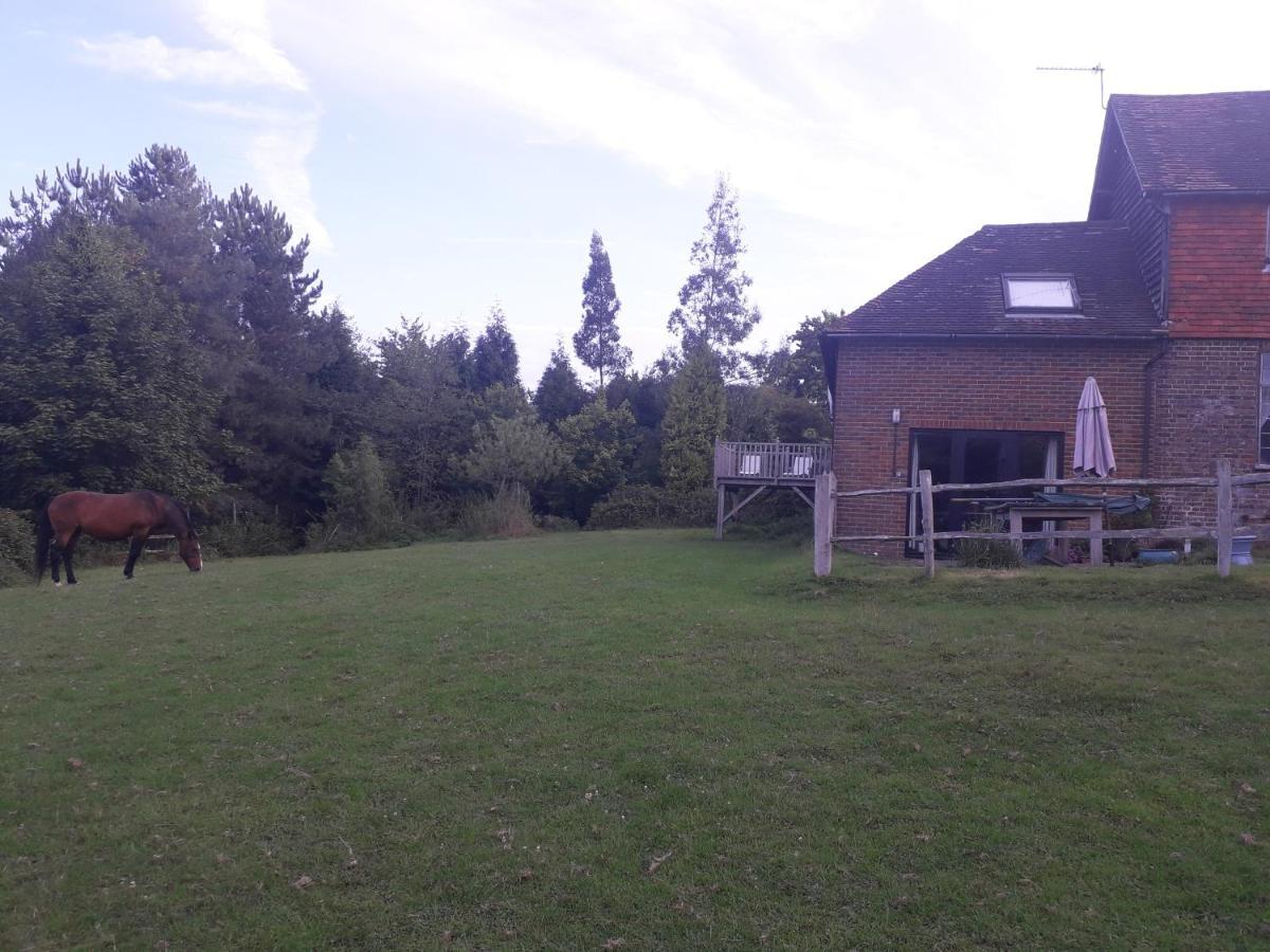 Moaps Farm B&B Support Small Business, Welcome, Check In From 5 Pm Danehill Eksteriør bilde