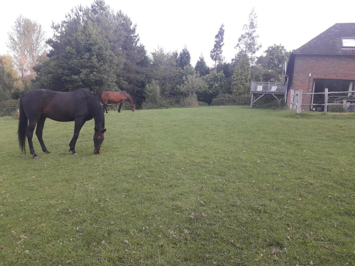Moaps Farm B&B Support Small Business, Welcome, Check In From 5 Pm Danehill Eksteriør bilde