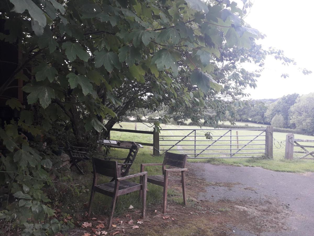 Moaps Farm B&B Support Small Business, Welcome, Check In From 5 Pm Danehill Eksteriør bilde