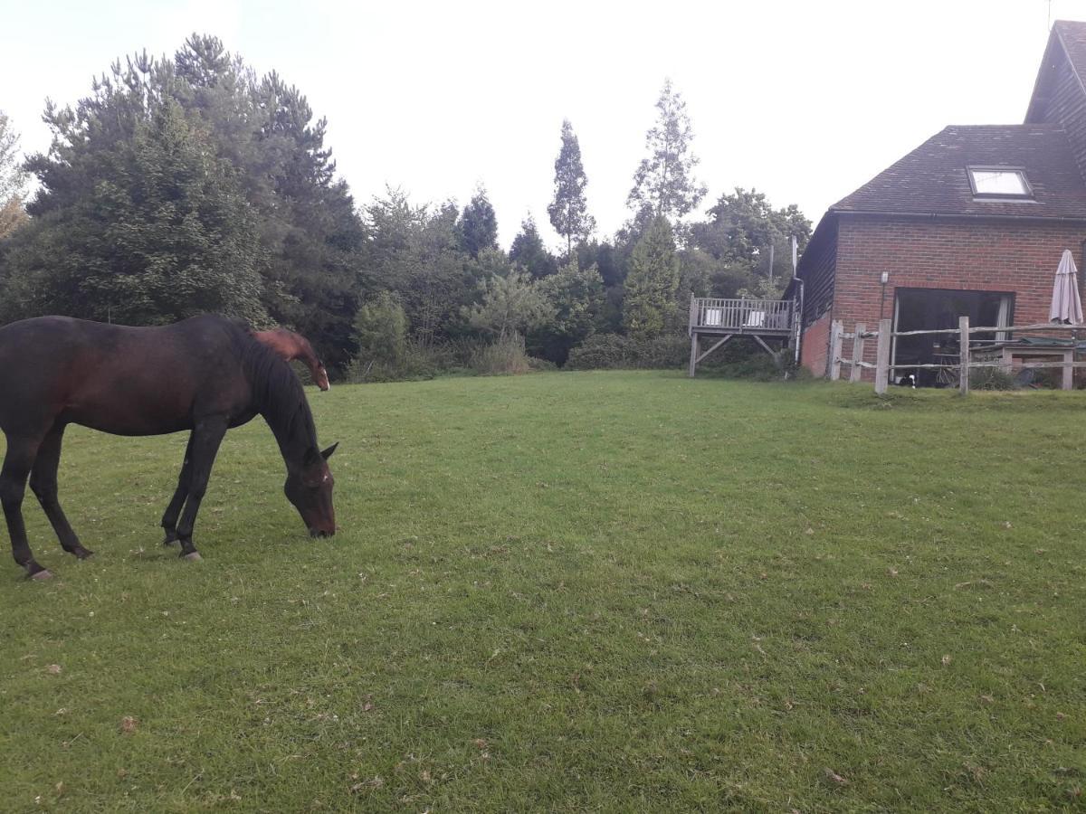 Moaps Farm B&B Support Small Business, Welcome, Check In From 5 Pm Danehill Eksteriør bilde