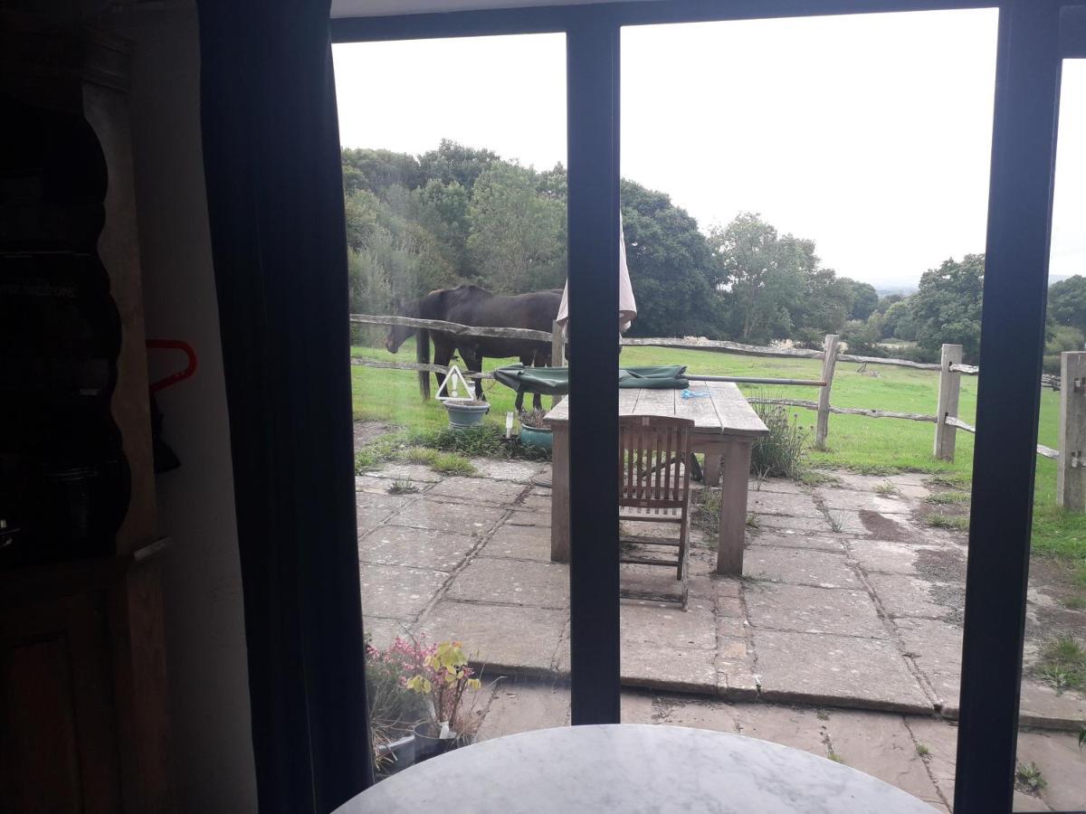 Moaps Farm B&B Support Small Business, Welcome, Check In From 5 Pm Danehill Eksteriør bilde