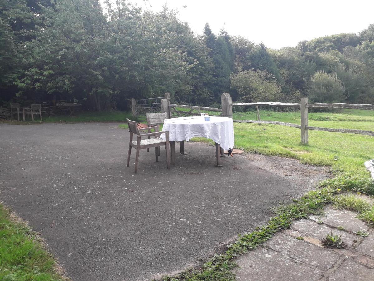 Moaps Farm B&B Support Small Business, Welcome, Check In From 5 Pm Danehill Eksteriør bilde
