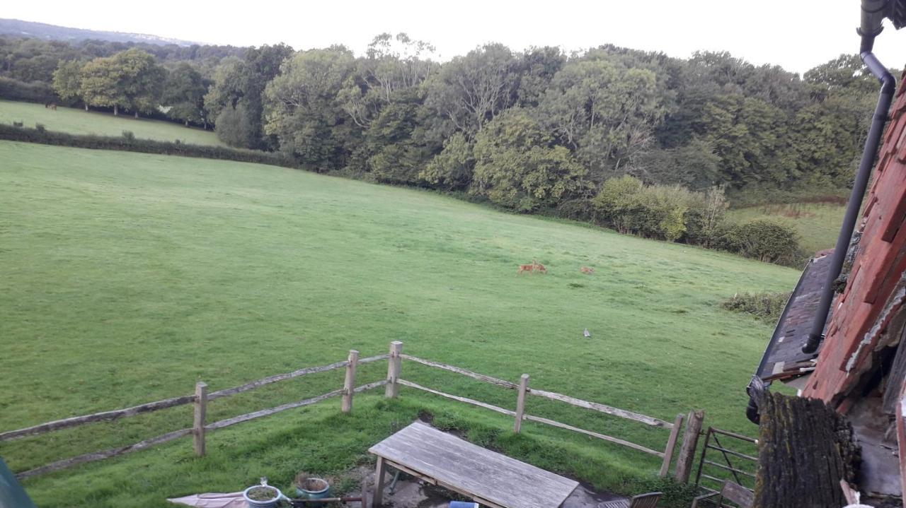 Moaps Farm B&B Support Small Business, Welcome, Check In From 5 Pm Danehill Eksteriør bilde