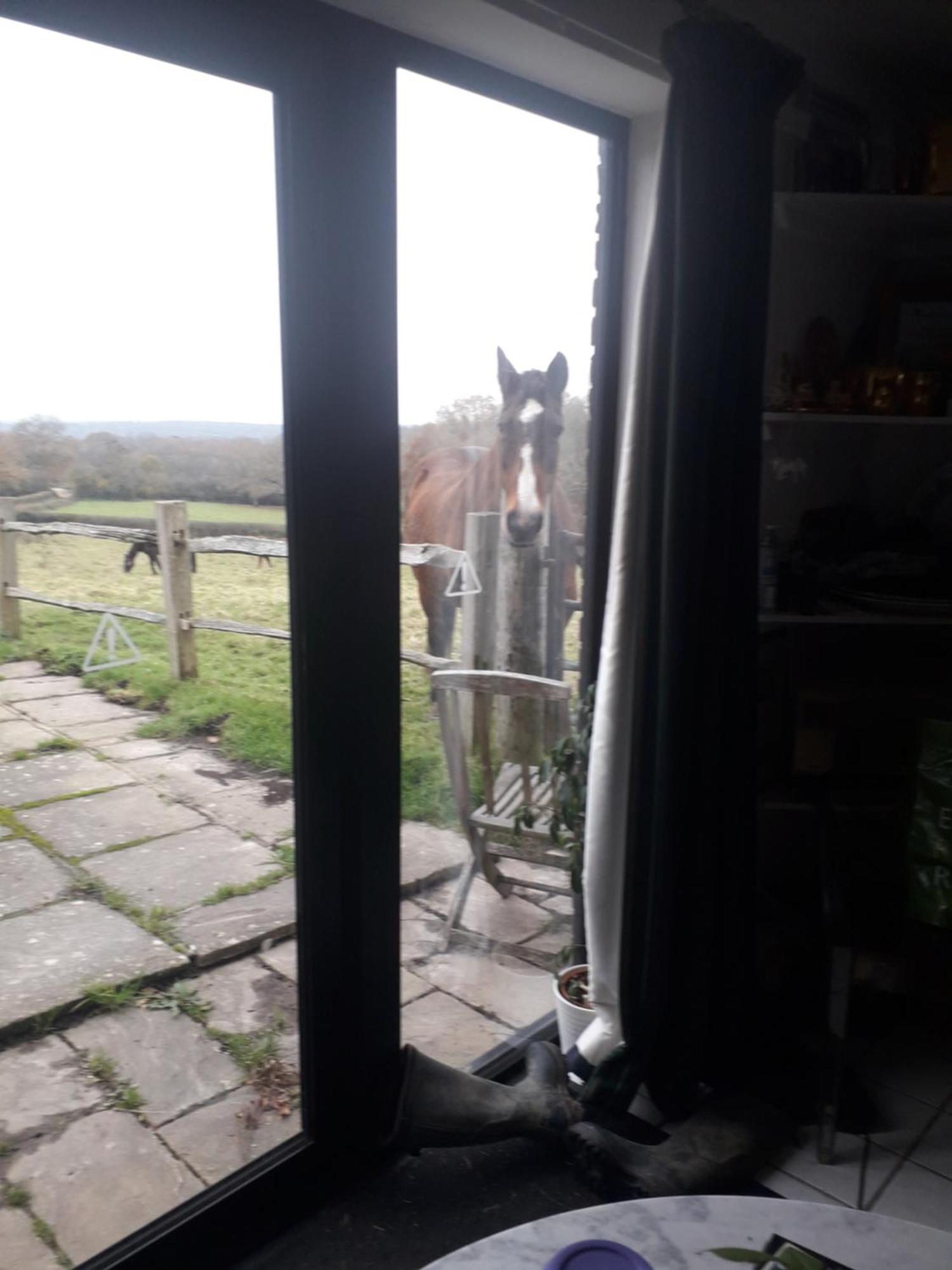 Moaps Farm B&B Support Small Business, Welcome, Check In From 5 Pm Danehill Eksteriør bilde
