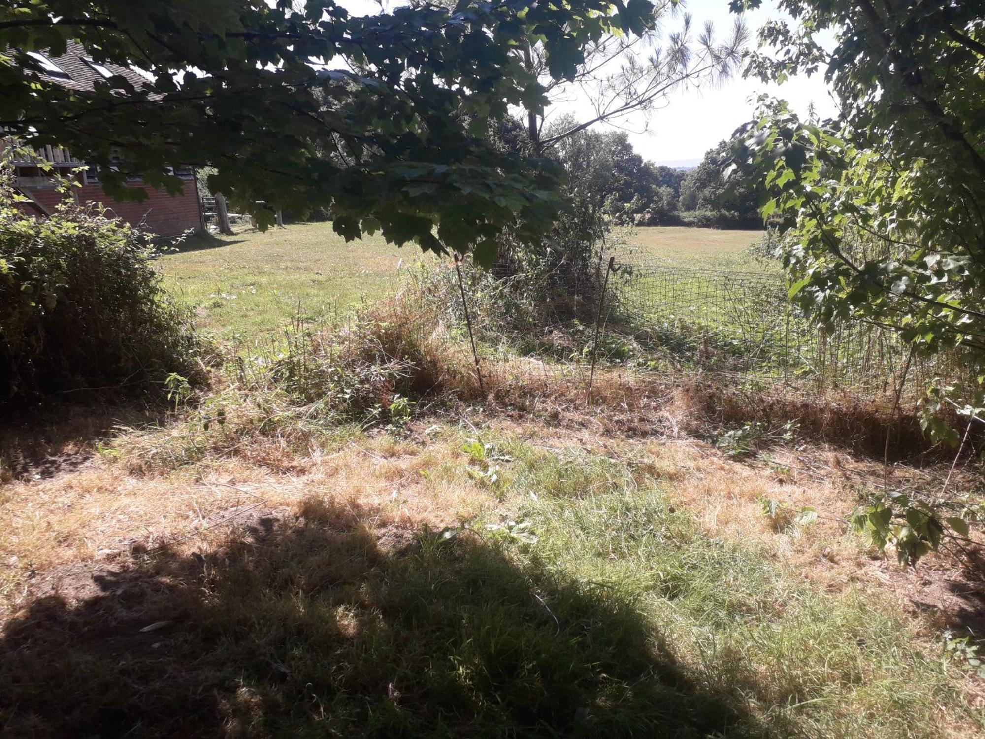 Moaps Farm B&B Support Small Business, Welcome, Check In From 5 Pm Danehill Eksteriør bilde